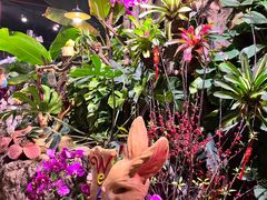 -正佳雨林生态植物园