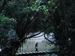 -燕晗山郊野公园