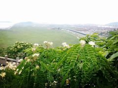 -洋山深水港