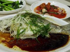 -广宁炭炉鸡煲·富临门饭店