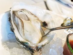 生蚝-Oyster Talks 四度蚝法餐厅