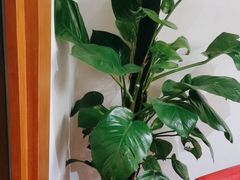 -渝信川菜(西单店)