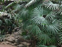 -石家庄市植物园