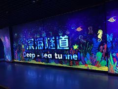 -秦皇岛新澳海底世界