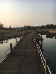 -水八仙生态园