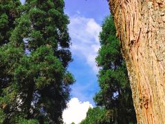 -井冈山风景名胜区-黄洋界