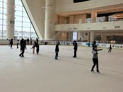 -世纪星滑冰俱乐部(万象城店)