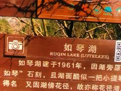 -庐山风景区花径公园