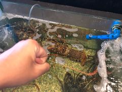 -Isla Sugbu Seafood City