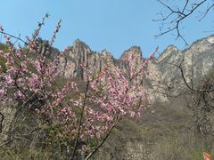 -云台山风景名胜区