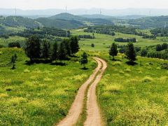 -塞罕坝国家级自然保护区