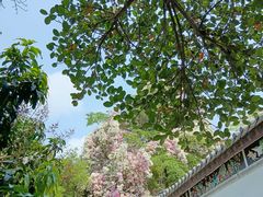 -深圳国际园林花卉博览园