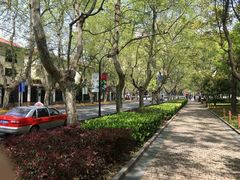 -徐家汇源景区-衡山坊