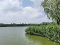 -燕郊植物园