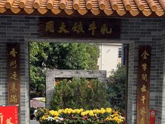 -周大娘牛乳(旧寨古村总店)
