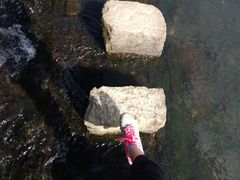 android_upload_pic-彩虹桥