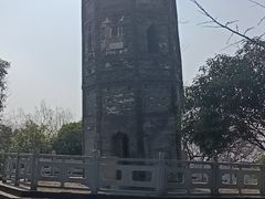 -上海佘山国家森林公园天马山园