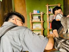 -猫猫幼稚园·撸猫·桌游·电玩
