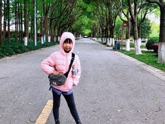-上海鲜花港