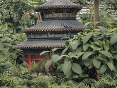 -南宫五洲植物乐园