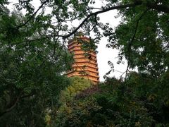 -玲珑塔公园