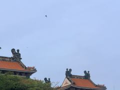 -顺峰山公园