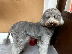 -沏点Trattoria意大利餐厅(新街口店)