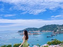 -枸杞岛