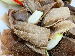 -洪霞餐馆