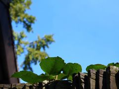 -南山风景名胜区