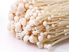 金针菇-九庄火锅(龙游店)