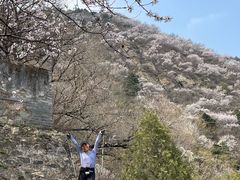 -北京鹫峰国家森林公园