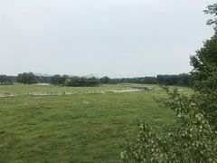 -北京麋鹿生态实验中心