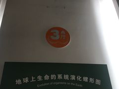 -辽宁古生物博物馆