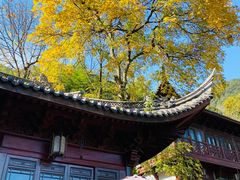 -韬光茶庵