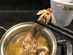 -汤响自助回转火锅百汇(乐峰广场店)