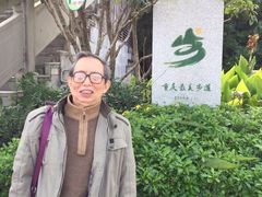 -铁山坪森林公园