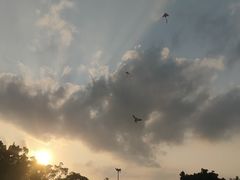 -万绿园