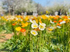 -名花谷生态庄园