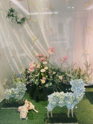 -艾薇芭蕾艺术中心