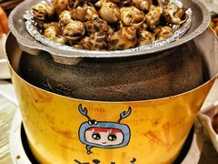花螺-桥东喜碧海鲜街(水东街店)