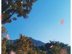 -梧桐山风景名胜区