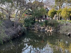 -上海醉白池公园