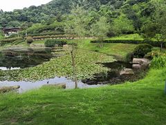 -桃花岭景区