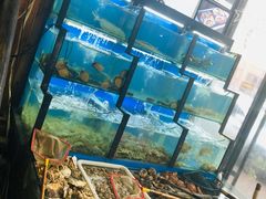 水产区-老东镇啤酒屋海鲜加工·蒸汽海鲜·海鲜烧烤(台东店)