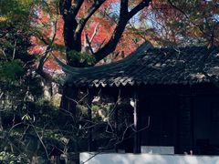-留园