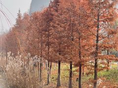 -狼山风景名胜区