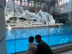 -帝企鹅自助餐厅•儿童岛•真企鹅(长隆企鹅酒店)