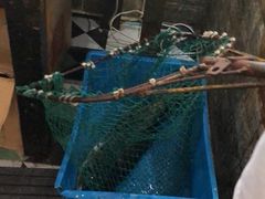 -魏铭鱼头捞饭(晋阳路店)