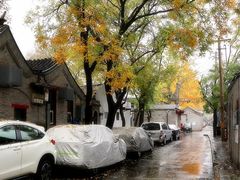 -北京国子监胡同
